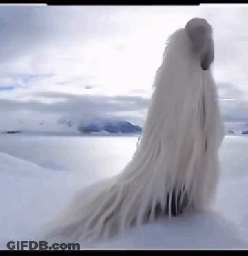 A White Furry Animal Is Standing In The Snow Near A Body Of Water GIF