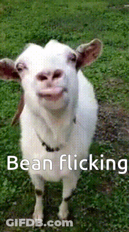A White Goat Is Standing In The Grass With The Words Bean Flicking Behind It GIF