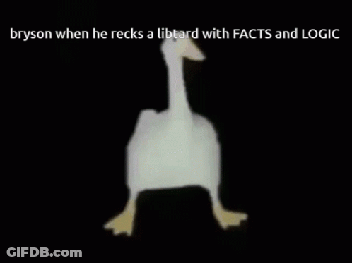 A White Goose Is Walking On A Black Background With A Caption That Says Bryson When He Recks A Libtard GIF