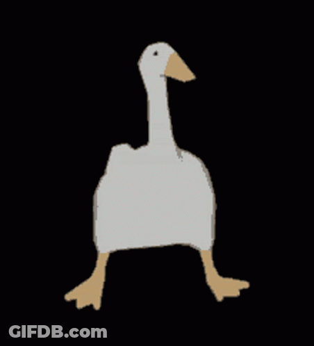 A White Goose With A Brown Beak Is Walking On A Black Background . GIF