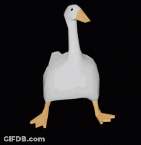A White Goose With A Yellow Beak And Feet Is Walking On A Black Background . GIF