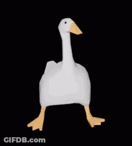 A White Goose With A Yellow Beak Is Standing On Its Hind Legs On A Black Background . GIF