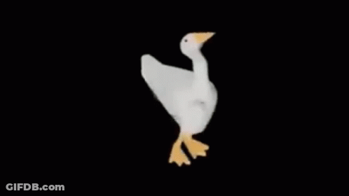 A White Goose With A Yellow Beak Is Standing On Its Hind Legs . GIF