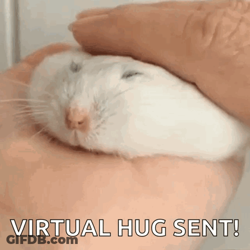 A White Hamster Is Being Held In A Person 'S Hand With The Words Virtual Hug Sent Below It GIF