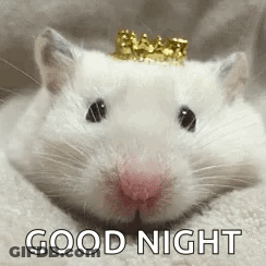 A White Hamster With A Crown On Its Head Is Laying On A Blanket . GIF