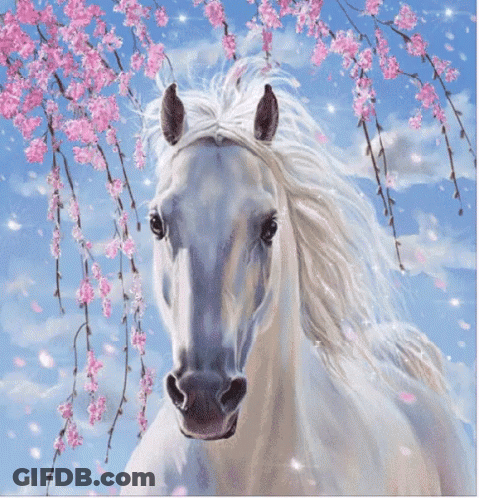 A White Horse Is Standing In Front Of A Tree With Pink Flowers GIF