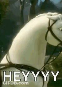 A White Horse Wearing A Bridle And A Saddle Is Standing In Front Of A Forest . GIF