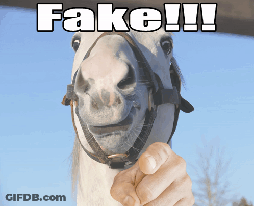 A White Horse With A Bridle And A Hand Pointing At It With Fake Written Above It GIF