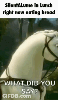 A White Horse With A Bridle Is Eating Bread In A Meme . GIF