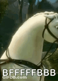 A White Horse With A Bridle Is Standing In A Field . GIF