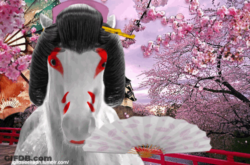 A White Horse With A Fan In Front Of A Cherry Blossom Background GIF