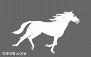 A White Horse With A Long Mane Is Walking On A Grey Background GIF
