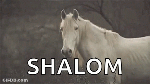 A White Horse With The Word Shalom Written On It . GIF