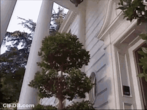 A White House With A Tree In Front Of It And Columns . GIF