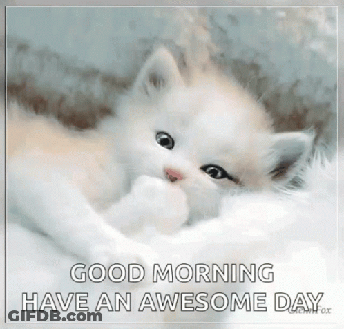 A White Kitten Is Laying On A White Blanket With The Words Good Morning Have An Awesome Day . GIF