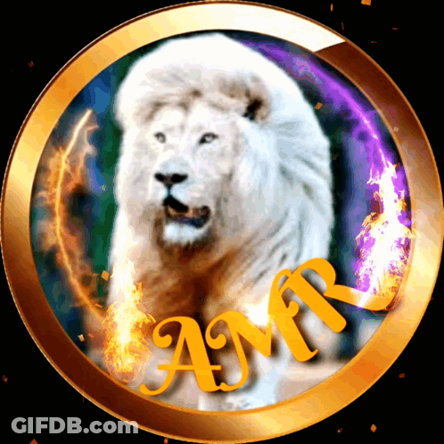 A White Lion In A Gold Circle With The Name Amr GIF