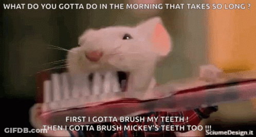 A White Mouse Is Brushing Its Teeth With A Toothbrush GIF