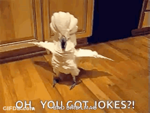 A White Parrot Is Standing On A Wooden Floor With Its Wings Outstretched And Says Oh , You Got Jokes ? GIF