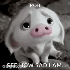 A White Pig With A Pink Nose Is Sitting On A Rock And Looking Sad . GIF