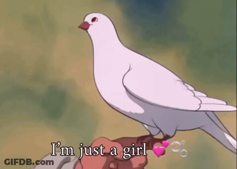 A White Pigeon Is Sitting On Top Of A Person 'S Hand And Says `` I 'M Just A Girl '' . GIF