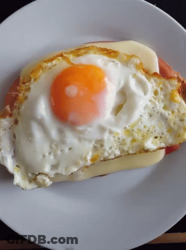 A White Plate Topped With A Fried Egg And A Piece Of Meat GIF