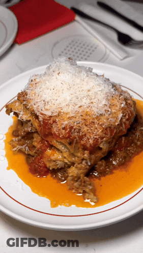 A White Plate Topped With A Lasagna With Sauce And Cheese On Top GIF