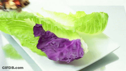 A White Plate Topped With Lettuce And A Purple Leaf GIF