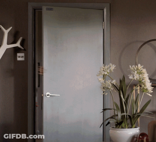 A White Potted Plant Sits In Front Of A Door That Has A Sticker On It That Says ' A ' GIF