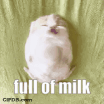 A White Puppy Is Sleeping On A Green Blanket With The Words `` Full Of Milk '' Written Above It . GIF
