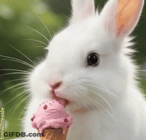A White Rabbit Eating A Pink Ice Cream Cone From Franwhites GIF