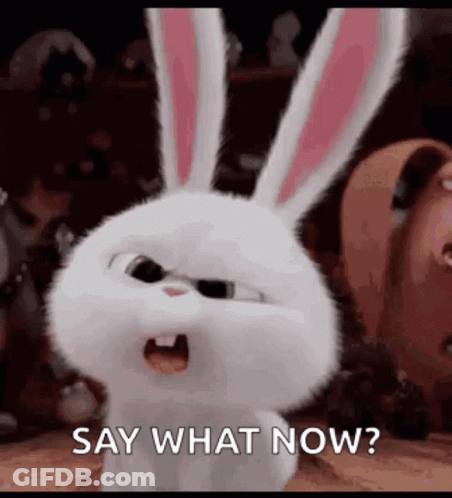 A White Rabbit From The Secret Life Of Pets Is Saying `` Say What Now ? '' GIF