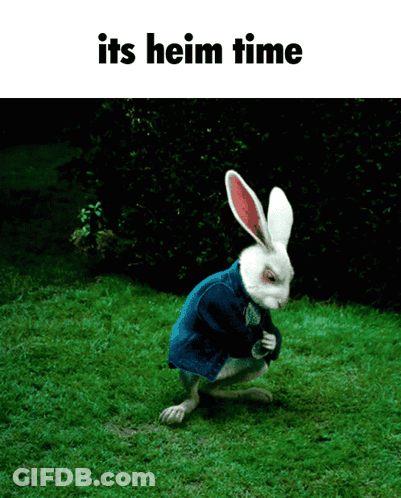 A White Rabbit In A Blue Jacket Is Kneeling In The Grass With The Words " Its Hein Time " Below It GIF