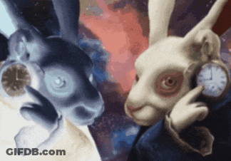 A White Rabbit Is Holding A Pocket Watch While Another Rabbit Looks On GIF