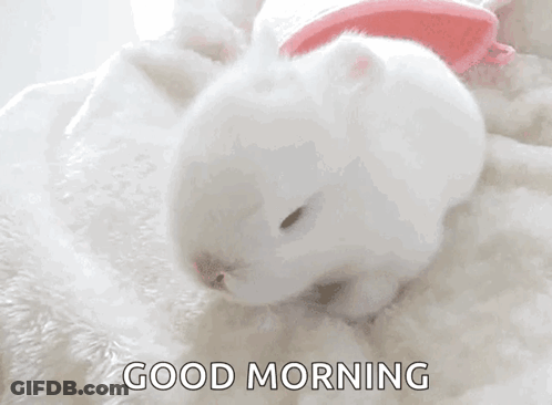 A White Rabbit Is Laying On A White Blanket With The Words Good Morning Written On The Bottom GIF