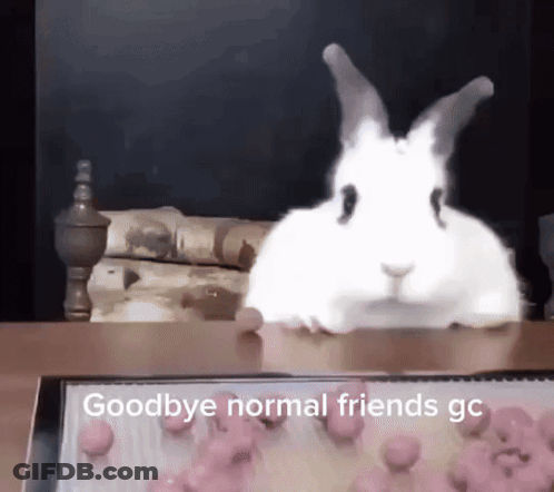 A White Rabbit Is Sitting On A Table With The Words Goodbye Normal Friends Gc Written Below It GIF