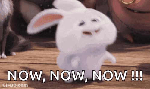 A White Rabbit Is Standing On A Wooden Floor With The Words Now Now Now !!! Behind It . GIF