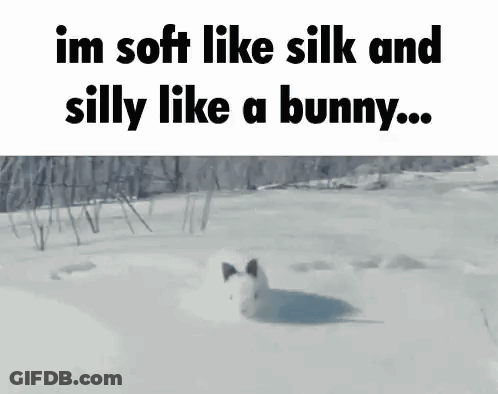 A White Rabbit Is Walking Through The Snow With The Words `` Im Soft Like Silk And Silly Like A Bunny ... '' . GIF