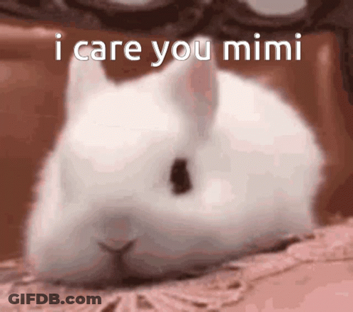 A White Rabbit Laying On A Bed With The Words I Care You Mimi Written Above It GIF