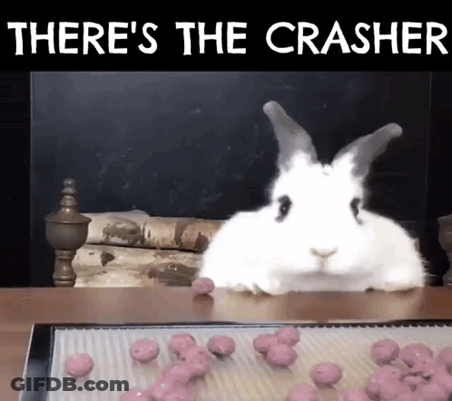 A White Rabbit Sitting On A Table With The Words There 'S The Crasher On The Bottom GIF