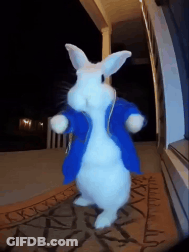 A White Rabbit Wearing A Blue Jacket Is Dancing GIF
