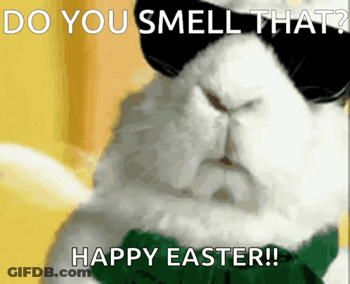 A White Rabbit Wearing Sunglasses And A Green Bow Tie Says " Do You Smell That " GIF