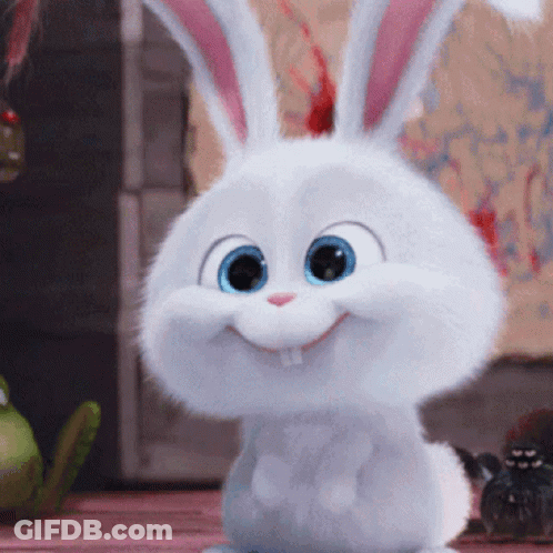 A White Rabbit With Blue Eyes Is Smiling And Looking At The Camera . GIF