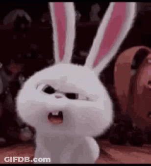 A White Rabbit With Pink Ears Is Looking Angry . GIF