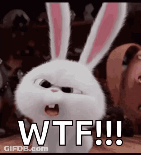 A White Rabbit With Pink Ears Is Screaming And Saying Wtf !!! GIF