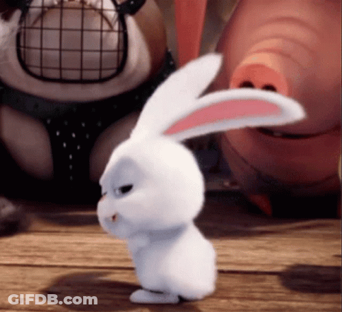 A White Rabbit With Pink Ears Is Standing On A Wooden Surface GIF