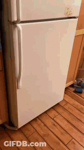 A White Refrigerator Is Sitting On A Wooden Floor Next To A Cabinet GIF