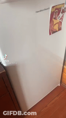 A White Refrigerator With A Poster Of Hulk Hogan On The Door . GIF