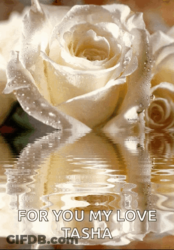 A White Rose Is Reflected In The Water With The Words " For You My Love Tasha " GIF