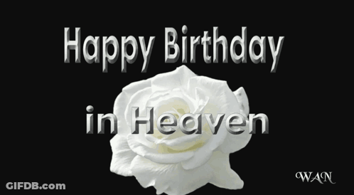 A White Rose On A Black Background With The Words Happy Birthday In Heaven Above It GIF
