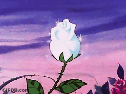 A White Rose With Green Leaves Against A Pink And Blue Sky GIF